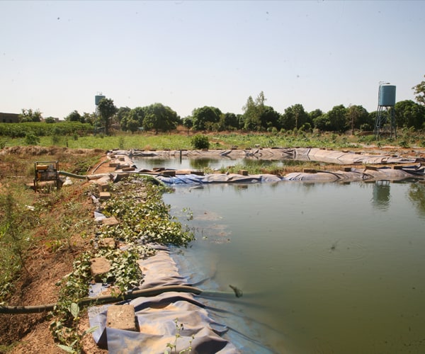 Bassin piscicole aménagé grâce à un financement rural